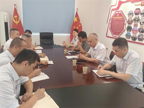 公司領(lǐng)導(dǎo)調(diào)研指導(dǎo)鼎信公司、藍(lán)盾...